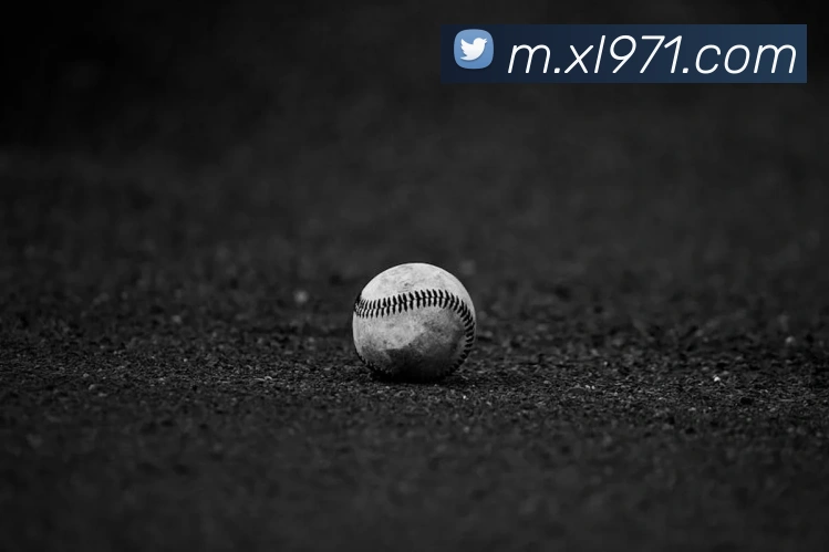 互动解说服务